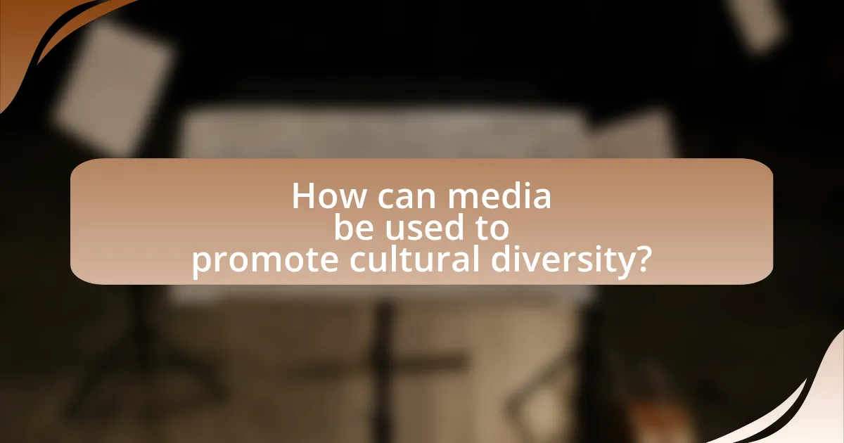 How can media be used to promote cultural diversity?