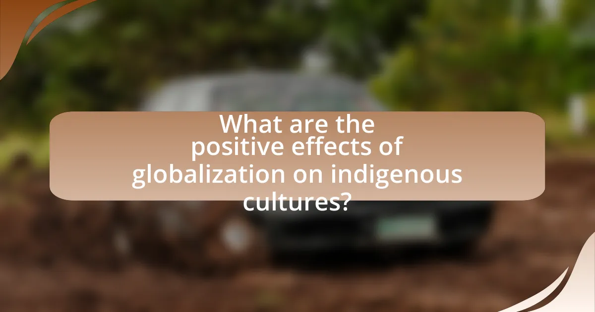What are the positive effects of globalization on indigenous cultures?
