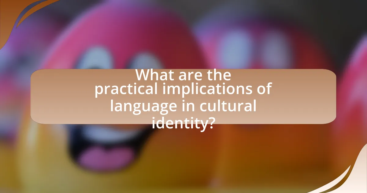 What are the practical implications of language in cultural identity?