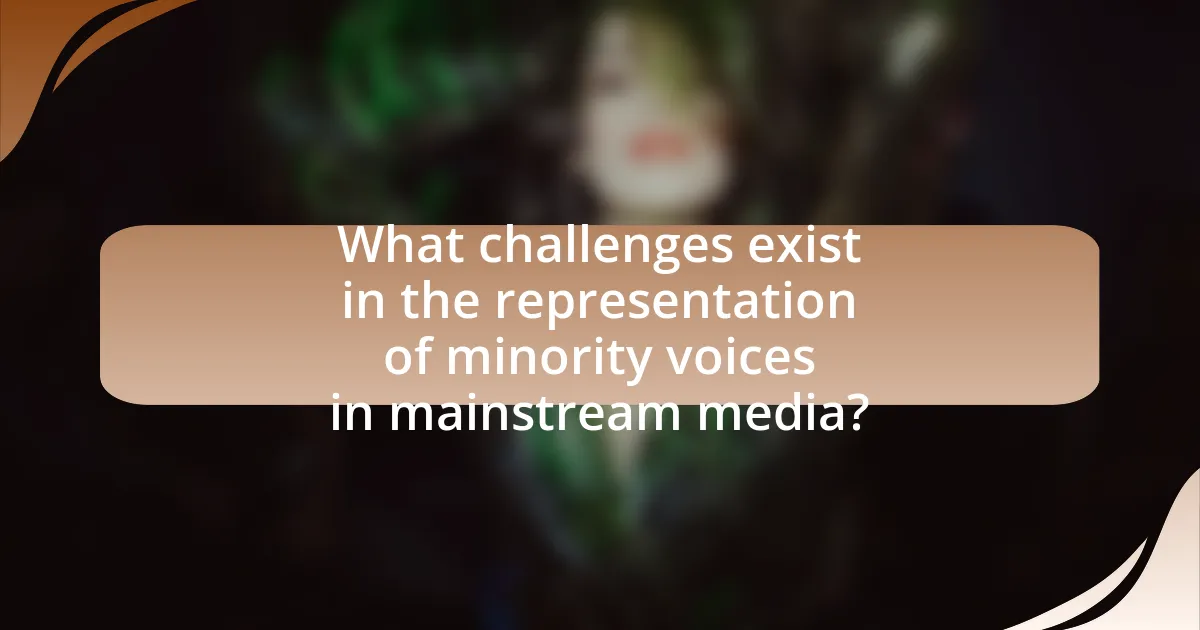 What challenges exist in the representation of minority voices in mainstream media?