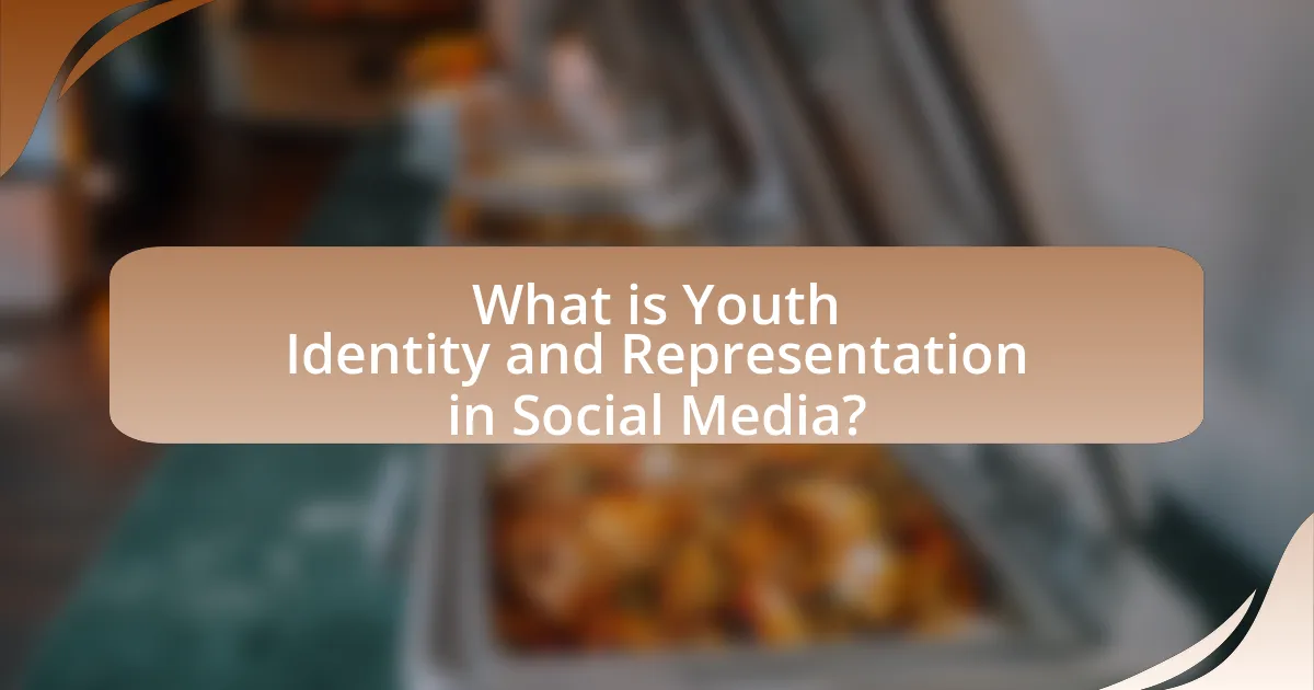 What is Youth Identity and Representation in Social Media?