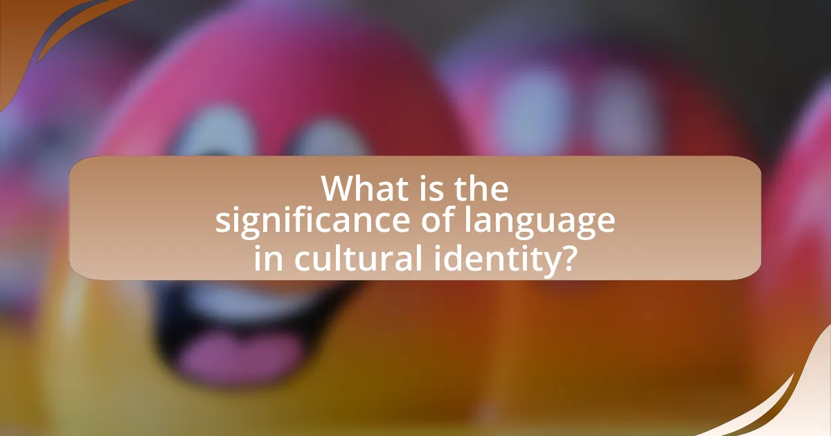 What is the significance of language in cultural identity?